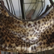Illustration for article titled Fashion Scavenger Hunt: Help Find a Vintage Old Navy Bag Under $5000